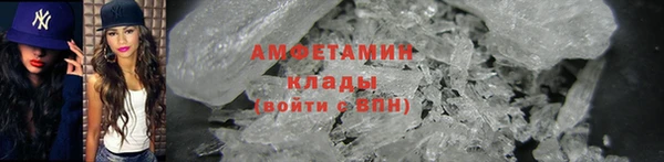 индика Михайлов