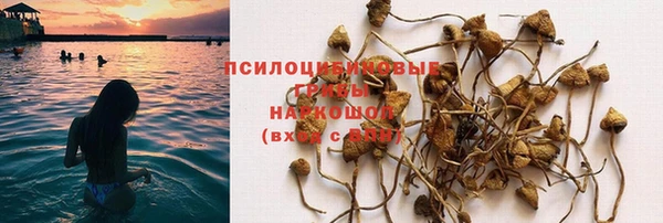 спиды Аркадак